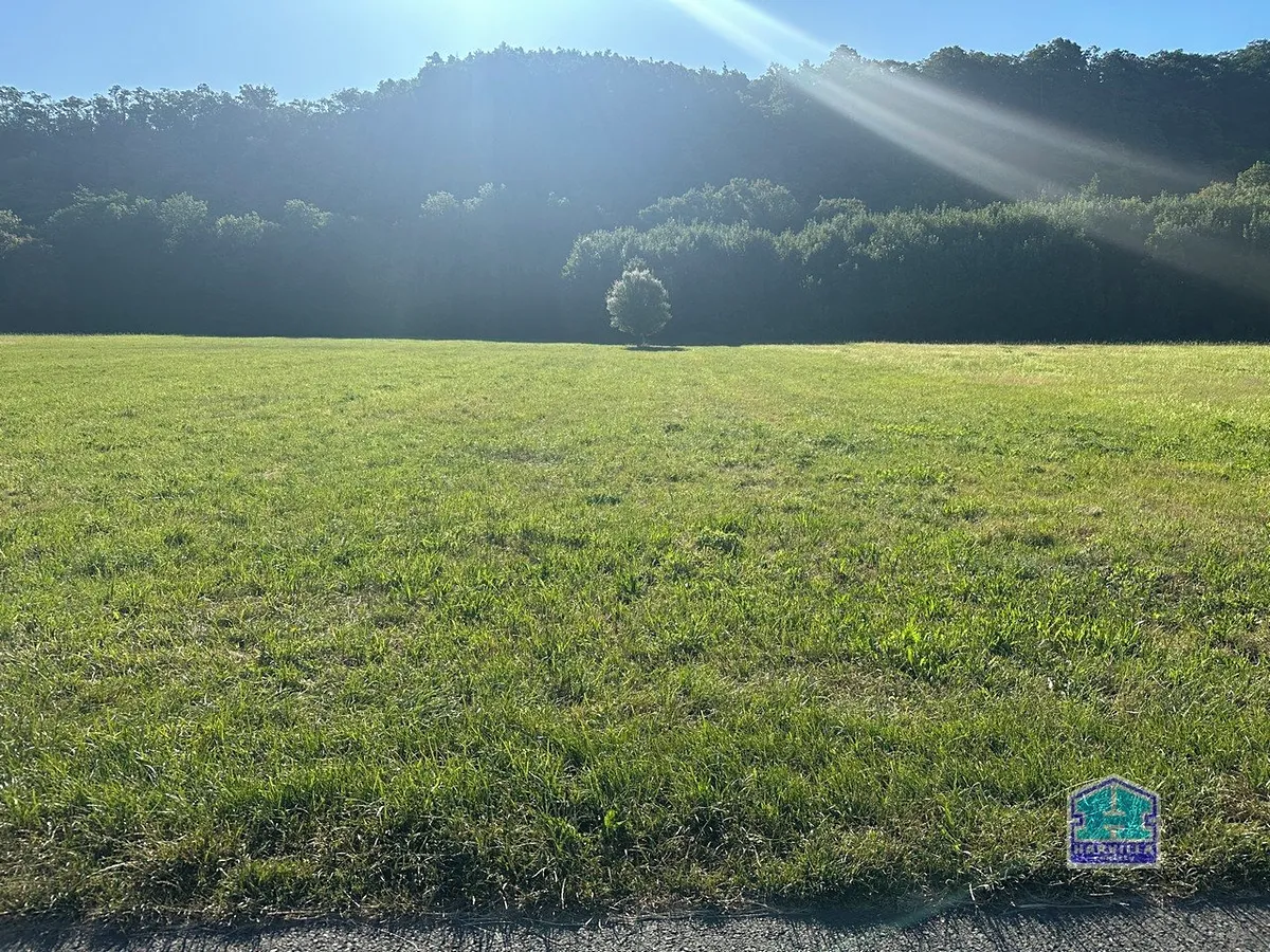 Fotka 3 z 5
